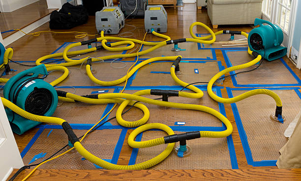 Professional Crawl Space Water Removal technician working in Montclair, VA